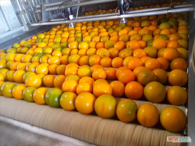 Mesa de Pulido y Encerado